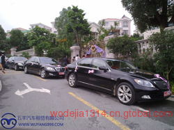 广州婚庆租车指南 如何选择最佳的租车服务