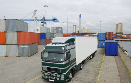 专业高效，全程可控 上海到厦门冷链货运与仓储一体化解决方案